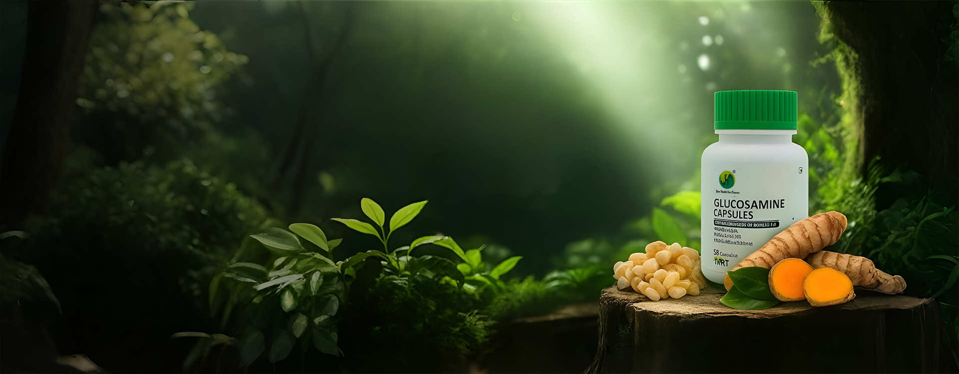 Glucosamine Capsules